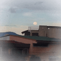 Moon Dreaming GIF by jorgemariozuleta