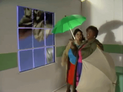 cranfan84 giphygifmaker weather girls its raining men GIF