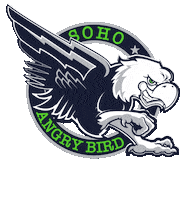 F45Gtown f45germantown f45 germantown f45 germantown angry bird f45germantownangrybird Sticker