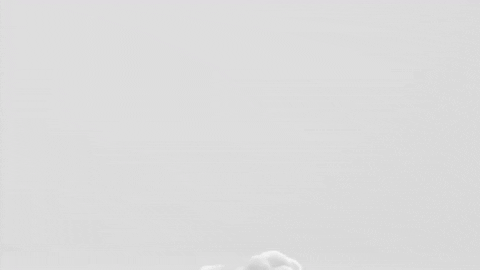 Smoke Simulation GIF by tokyomegaplex