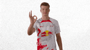 Oh Yeah Yes GIF by RB Leipzig