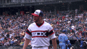 lets go yes GIF by NBC Sports Chicago