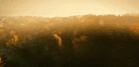 Season 3 Forest GIF by Paramount+