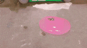 youtube lol GIF by Guava Juice