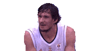 basketball smile Sticker by FIBA