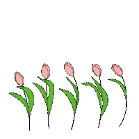 Lena_Bikeeva flowers spring tulip tulips Sticker