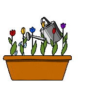 Lena_Bikeeva flowers spring цветы весна Sticker