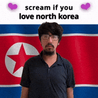 (silent) scream if you love north korea