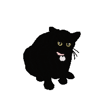 Cat 猫 Sticker