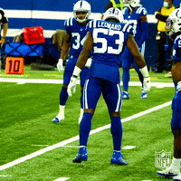 Regular Season Dancing GIF by NFL