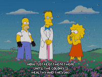 homer simpson bees GIF