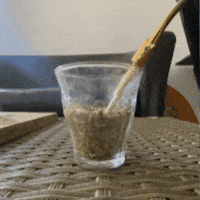 Yerba Mate GIF