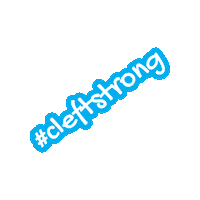 Denver 5K Sticker by Dash For Smiles