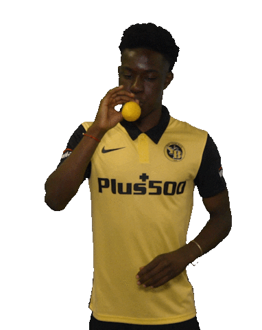 Party Ballon Sticker by BSC Young Boys