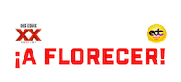 Edc Florecer Sticker by DosEquis