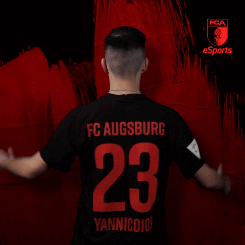 Bundesliga Esports GIF by FC Augsburg 1907
