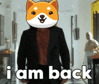 Money Crypto GIF by Baby Doge Coin