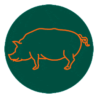 Cake Burger Sticker by K Gifs