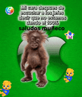 Saludos Decir GIF by Murcianys LLC