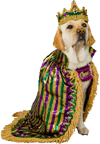 Dog Love Sticker by Raising Cane's