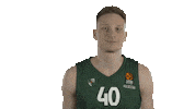 basketball Sticker by EuroLeague