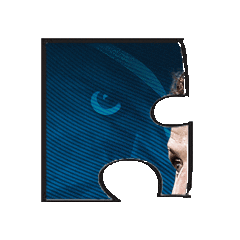 Afl Sticker by Adelaide Crows