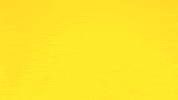 Bayern Rosenheim GIF by OVB24 GmbH