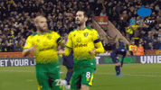 Norwichcity GIF by MolaTV