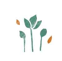 Effects Lettuce Sticker by Vertical Harvest Farms