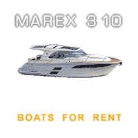 Summer Sea Sticker by The Sailor's Ride
