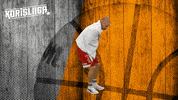 Sport Basketball GIF by Basket_fi