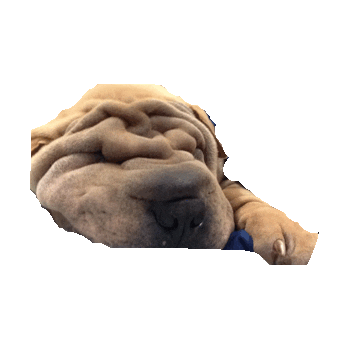 hulk STICKER by imoji