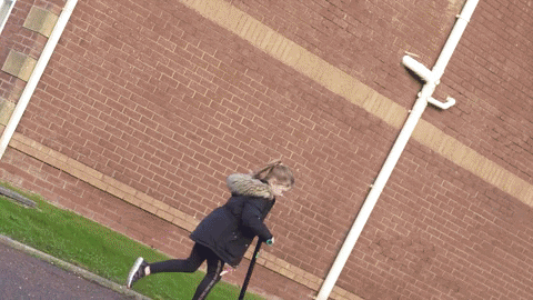 TheToyZone giphyupload GIF