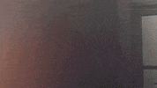 1dapperlatino  GIF