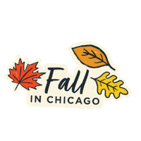 domschicago fall doms domschicago fallinchicago Sticker