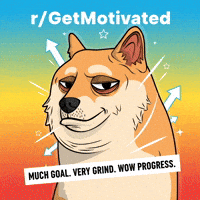 Shiba Inu Motivation GIF by Doge Pound