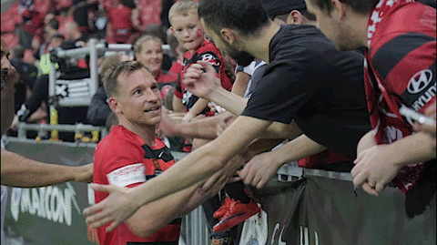 wswanderersfc giphyupload reaction football wanderers GIF
