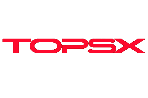 Choi Seunghyun Top Sticker