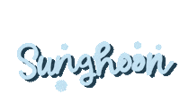 Sunghoon Sticker