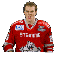 Hockey Del2 Sticker by Eisbären Regensburg