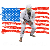 Grappling 10Th Planet Sticker by Academy Jiu-Jitsu