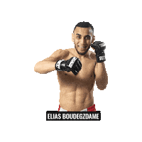 Mixed Martial Arts Mma Sticker by BRAVE Combat Federation
