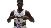 Ada Blois Sticker by ADA Blois Basket 41