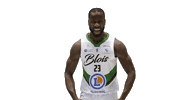 Ada Blois Sticker by ADA Blois Basket 41