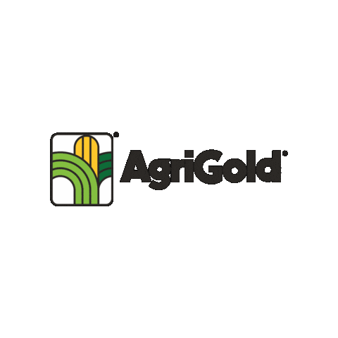 Agriculture Corn Sticker by AgriGold