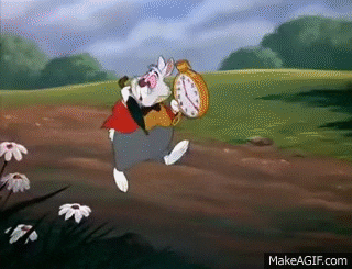 rabbit GIF