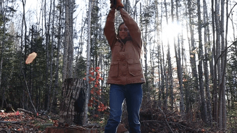 donanderinlongworth giphygifmaker splitting wood GIF