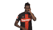 Bayer Leverkusen Dj Sticker by Bundesliga