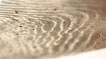 Beach Wave GIF by jorgemariozuleta