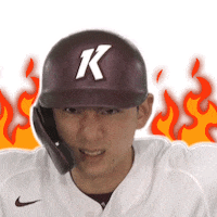 키움히어로즈 Sticker by Kiwoom Heroes Baseball Club
